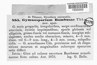 Apiospora arundinis image